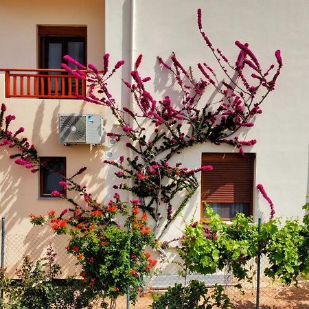 Dina Apartments スカレタ エクステリア 写真